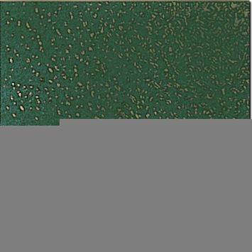 Керамическая плитка Petrachers Grand Elegance Pavimento Verde Bosco 20x20