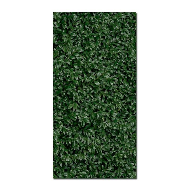 Керамогранит Panaria Glam Greenwall E 50X100