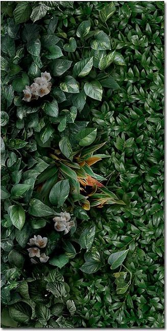 Керамогранит Panaria Glam Greenwall D 50X100