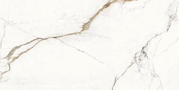 Provenza Керамогранит Unique Marble Paonazzetto 60x120 Lappato