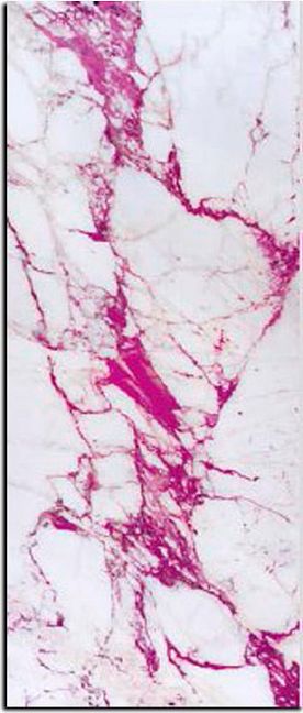 Стеклянная плитка Sicis Vetrite Electric Marble Cal Fuxia 138x290