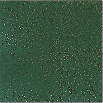 Керамическая плитка Petrachers Grand Elegance Pavimento Verde Bosco 20x20