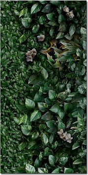 Керамогранит Panaria Glam Greenwall A 50X100