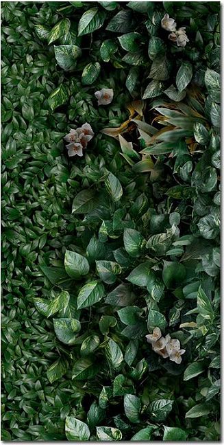 Керамогранит Panaria Glam Greenwall A 50X100