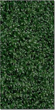 Керамогранит Panaria Glam Greenwall E 50X100