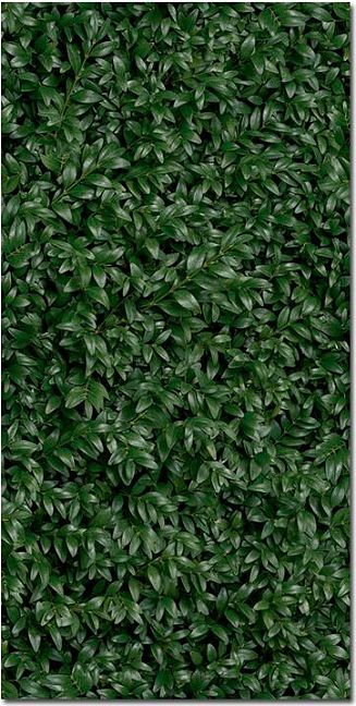 Керамогранит Panaria Glam Greenwall E 50X100