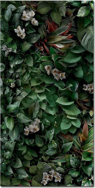 Керамогранит Panaria Glam Greenwall B 50X100