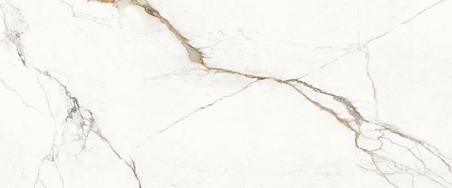 Provenza Керамогранит Unique Marble Paonazzetto 60x120 Silktech