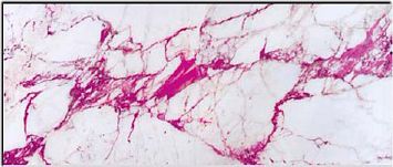 Стеклянная плитка Sicis Vetrite Electric Marble Cal Fuxia 120x280