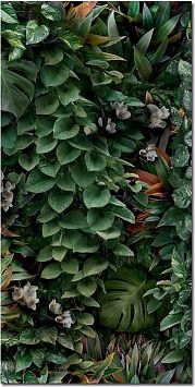 Керамогранит Panaria Glam Greenwall C 50X100