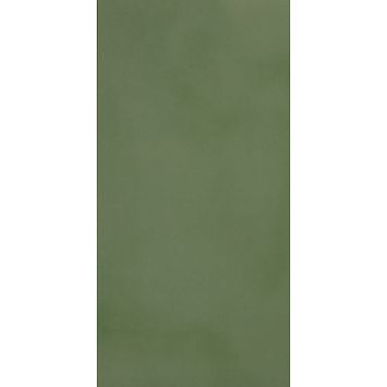 Керамогранит Casalgrande Padana R-Evolution Green 30x60